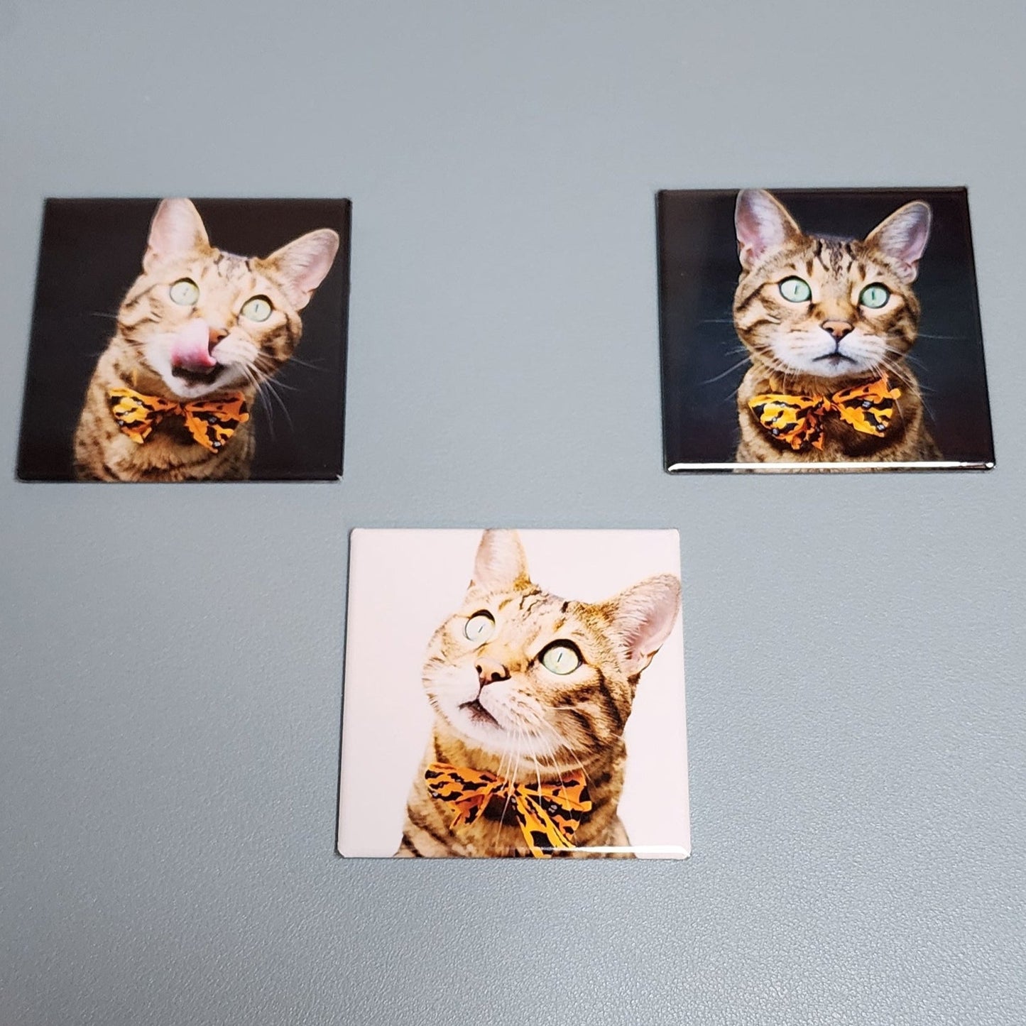 Square Photo Magnets - Set of 3