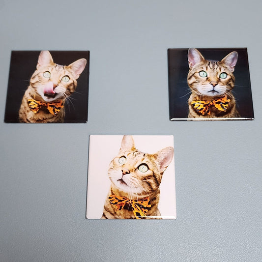 Square Photo Magnets - Set of 3