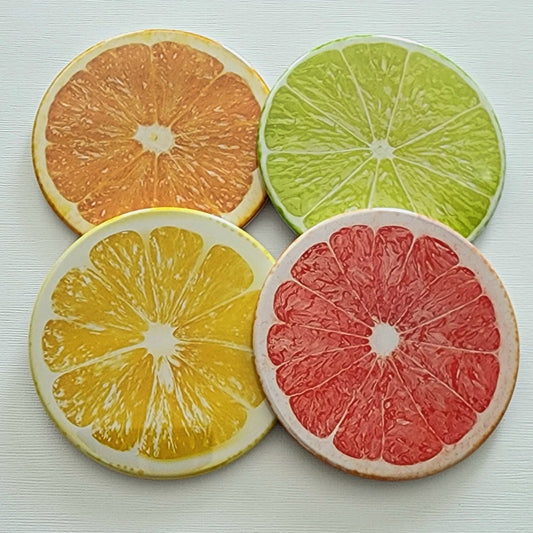 Slice of Summer Coasters - Set of 4
